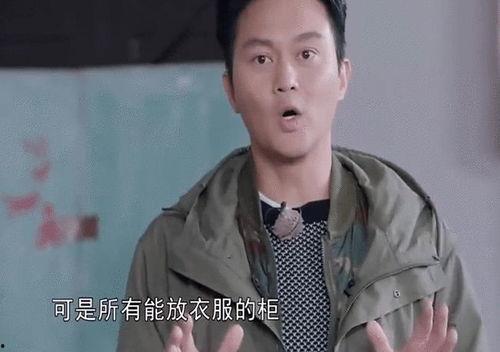 张智霖最新爆料,娱乐圈背后的惊人真相